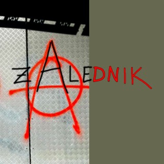 Zalednik lyrics | Boomplay Music