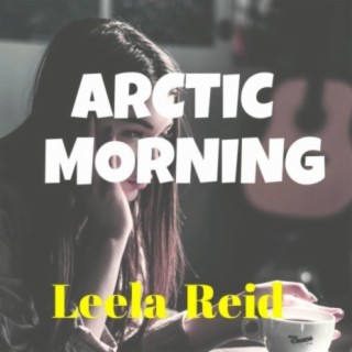 Arctic Morning