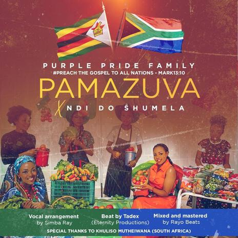 Pamazuva X Ndi do Shumela | Boomplay Music