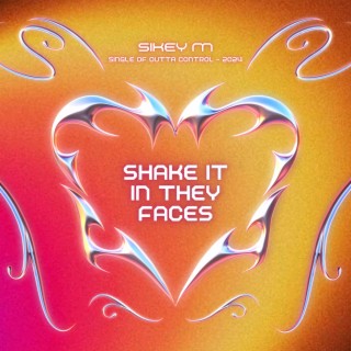 Shake It In They Faces lyrics | Boomplay Music
