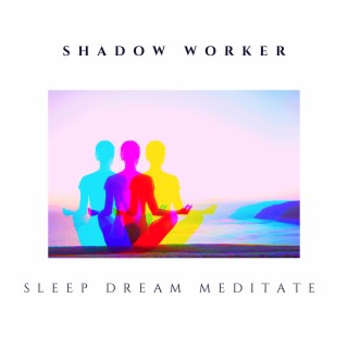 Shadow Worker