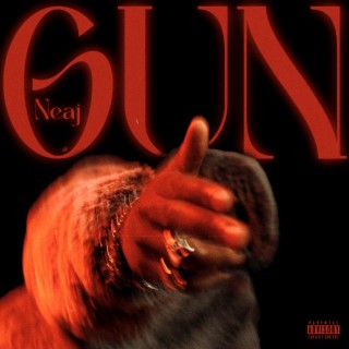 Gun