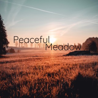 Peaceful Meadow