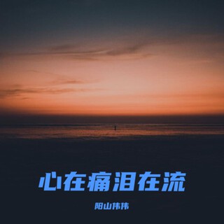 心在痛泪在流