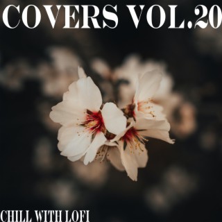 Covers Vol. 20