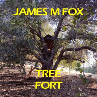 Tree Fort