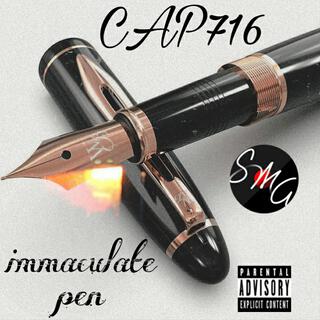 Immaculate Pen