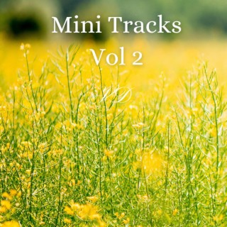 Mini Tracks, Vol. 2