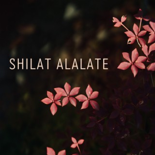 Shilat Alalate