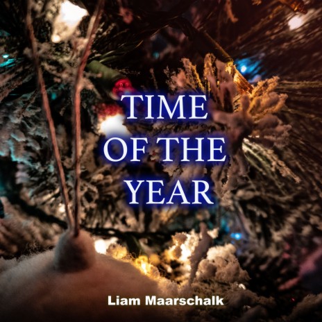 Time of the Year | Boomplay Music