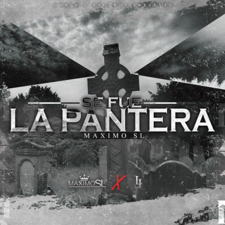 Se Fue La Pantera | Boomplay Music