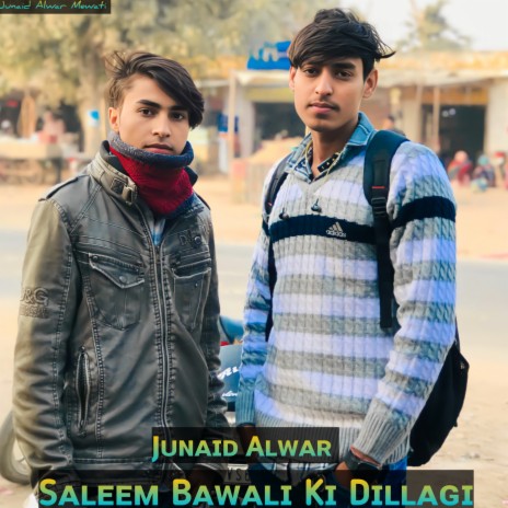 Saleem Bawali Ki Dillagi