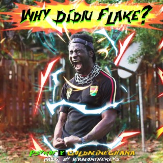 Why Didju Flake ft. GoldMineGhana lyrics | Boomplay Music