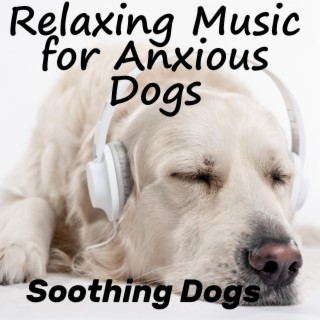 Soothing Dogs