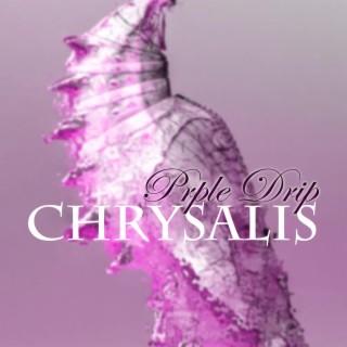 Chrysalis