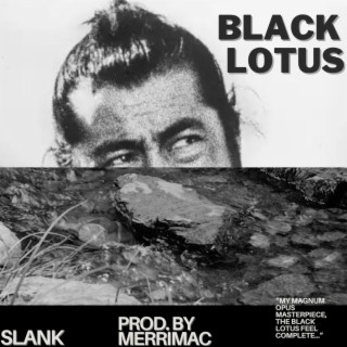 Black Lotus lyrics | Boomplay Music