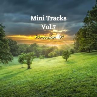 Mini Tracks, Vol. 7