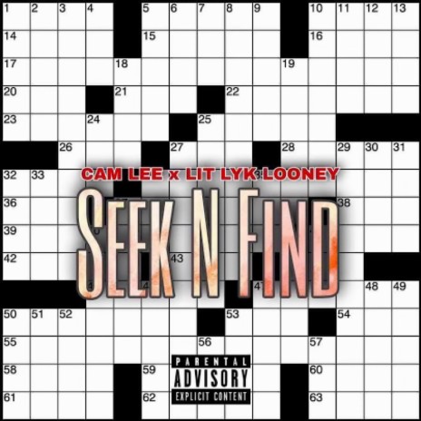 Seek n Find ft. Lit Lyk Looney | Boomplay Music