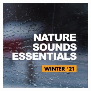 Nature Sounds Essentials