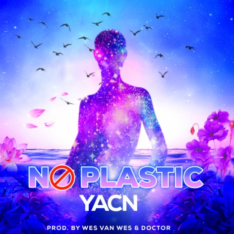 NO PLASTIC | Boomplay Music