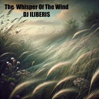 The Whisper Of The Wind lyrics | Boomplay Music