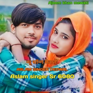 Aslam Singer Sr 6080