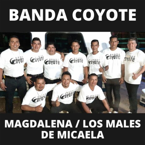 Magdalena / Los Males de Micaela | Boomplay Music