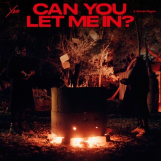 Can You Let Me In? ft. Marlo Rex lyrics | Boomplay Music