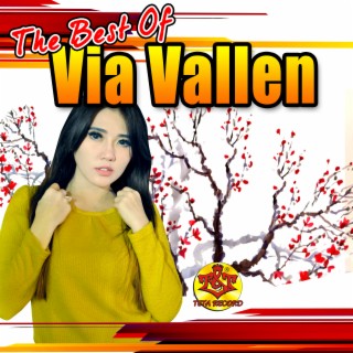 The Best of Via Vallen