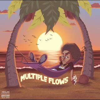 Multiple Flows