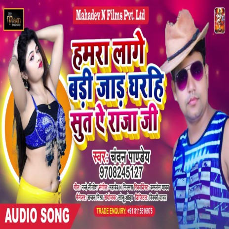 Hamra Lage Badi Jaad Gharahi Suta Ae Raja Ji | Boomplay Music