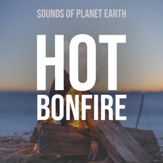 Hot Bonfire