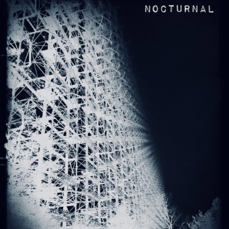 Nocturnal | Boomplay Music