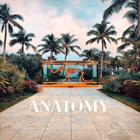Anatomy | Boomplay Music