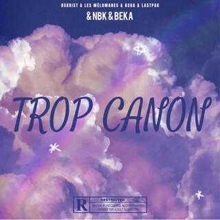 Trop Canon (NBK Remix)