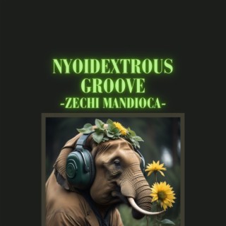 Nyoidextrous Groove