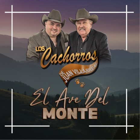 El Ave del Monte | Boomplay Music