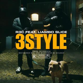 3STYLE