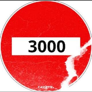 3000