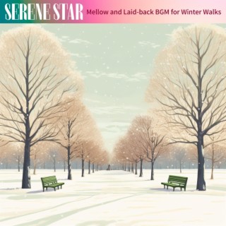 Mellow and Laid-back Bgm for Winter Walks