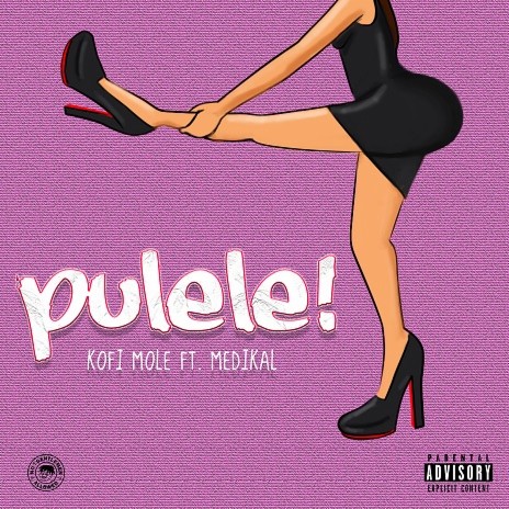 Pulele! (feat. Medikal) | Boomplay Music