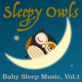 Baby Sleep Music, Vol.1