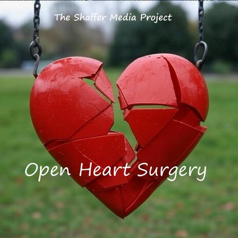 Open Heart Surgery (Whimsical Version) | Boomplay Music