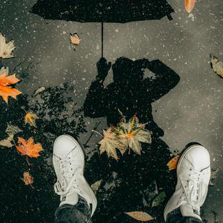 Shadows in the Rain lyrics | Boomplay Music