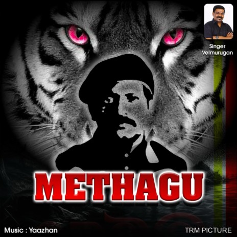 Methagu ft. Trm Picture & Yaazhan | Boomplay Music