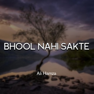 Bhool Nahi Sakte