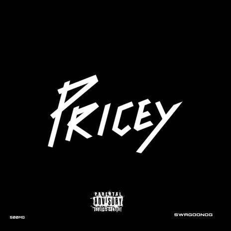 Pricey | Boomplay Music