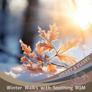 Winter Walks with Soothing Bgm