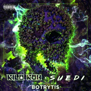 Botrytis ft. Suedi lyrics | Boomplay Music
