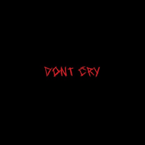 Don't Cry | Boomplay Music